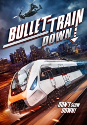 Bullet Train Down 2022