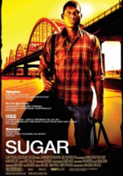 Sugar 2008