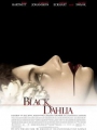 The Black Dahlia 2006
