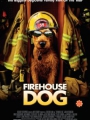 Firehouse Dog 2007