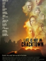 Life Is Hot in Cracktown 2009