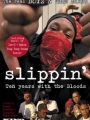 Slippin': Ten Years with the Bloods 2005