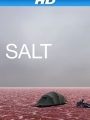 Salt 2009