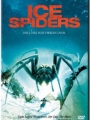 Ice Spiders 2007