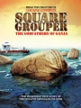 Square Grouper 2011