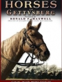 Horses of Gettysburg 2006