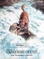 Homeward Bound: The Incredible Journey 1993
