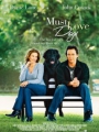 Must Love Dogs 2005