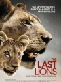The Last Lions 2011