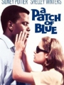 A Patch of Blue 1965