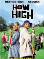 How High 2001