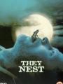 They Nest 2000