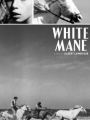 White Mane: The Wild Horse 1953