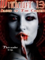 Witchcraft 13: Blood of the Chosen 2008