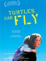 Turtles Can Fly 2004