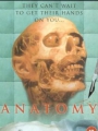 Anatomy 2000