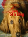 For the Love of a Dog 2008