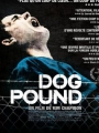 Dog Pound 2010