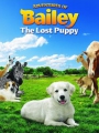 Adventures of Bailey: The Lost Puppy 2010