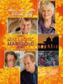 The Best Exotic Marigold Hotel 2011