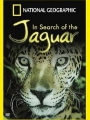 In Search of the Jaguar 2003