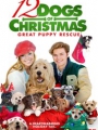 12 Dogs of Christmas: Great Puppy Rescue 2012