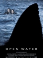 Open Water 2003