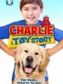 Charlie: A Toy Story 2013