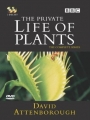 The Private Life of Plants 1995