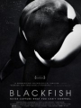 Blackfish 2013