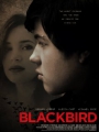 Blackbird 2012
