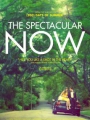 The Spectacular Now 2013