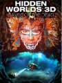 Hidden Worlds 3D: Caves of the Dead 2013