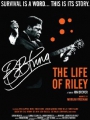 BB King: The Life of Riley 2014