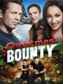 Christmas Bounty 2013