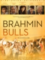 Brahmin Bulls 2013