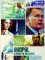 Bhopal: A Prayer for Rain 2014