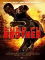 Kung Fu Brother 2014