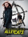 Alleycats 2016