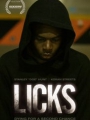 Licks 2013