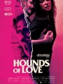 Hounds of Love 2016