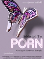 Addicted to Porn: Chasing the Cardboard Butterfly 2017