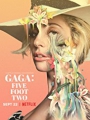 Gaga: Five Foot Two 2017
