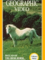 Ballad of the Irish Horse 1985