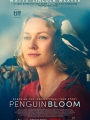 Penguin Bloom 2020