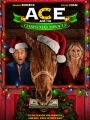 Ace & the Christmas Miracle 2021