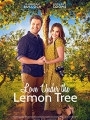 Love Under the Lemon Tree 2022