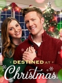 Destined at Christmas 2022