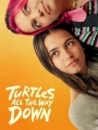 Turtles All the Way Down 2024