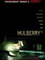 Mulberry Street 2006